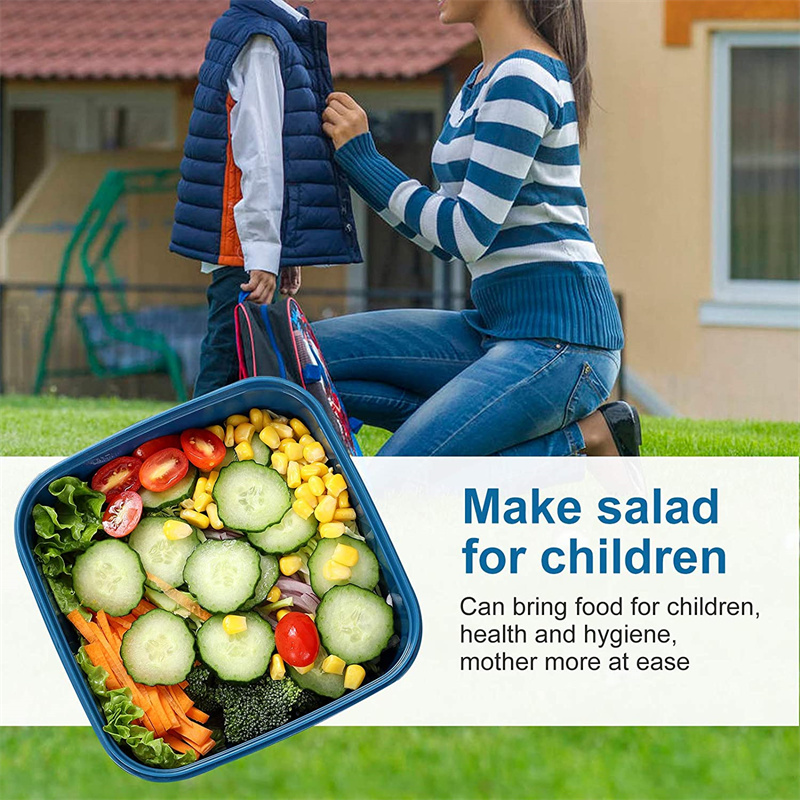 Portable Salad Lunch Container - Food Storage Vault avis et prix