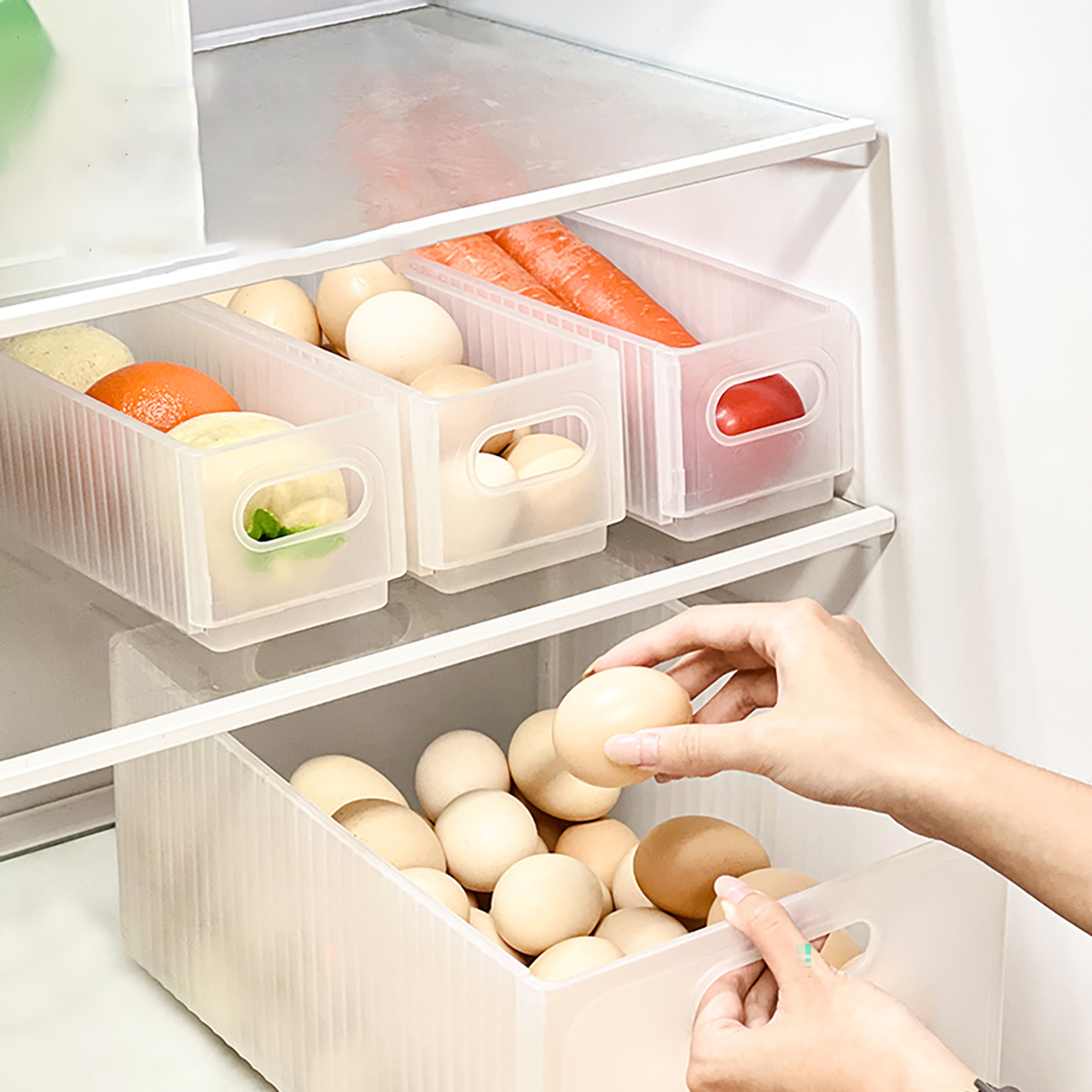 WORTHBUY Plastic Folding Fridg - Xxl Food Storage Container avis et prix