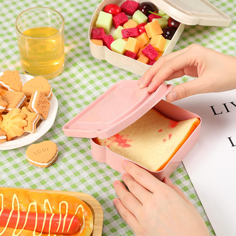 Sandwich Containers Lunch Box  - Food Storage With Colander avis et prix