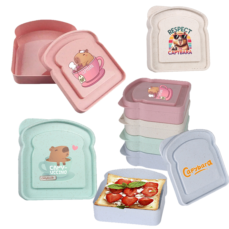 Capybara Sandwich Food Storage - Food Storage With Colander avis et prix