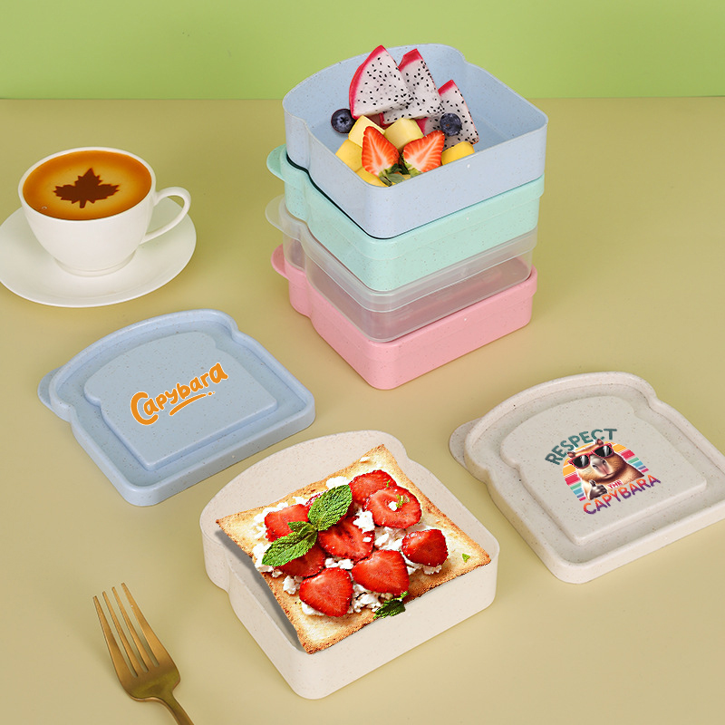 Capybara Sandwich Food Storage - Food Storage With Colander avis et prix