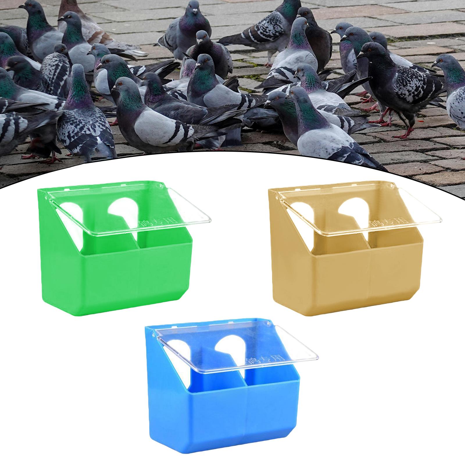 Hanging Box Pigeon Feeder Wate - Portion Control Container avis et prix
