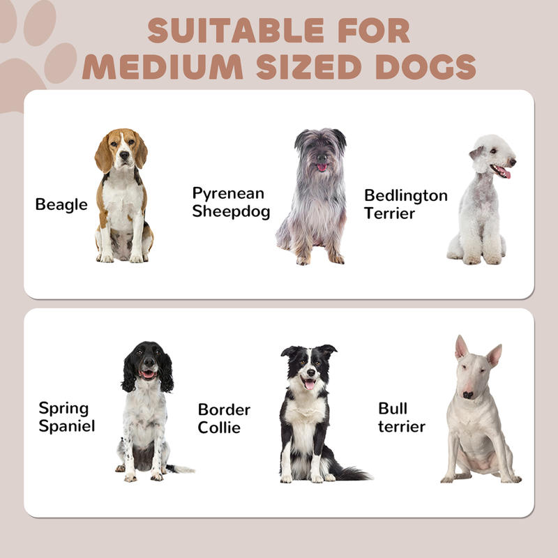 PawHut Pet Feeding Station, Do - Food Storage Pet avis et prix