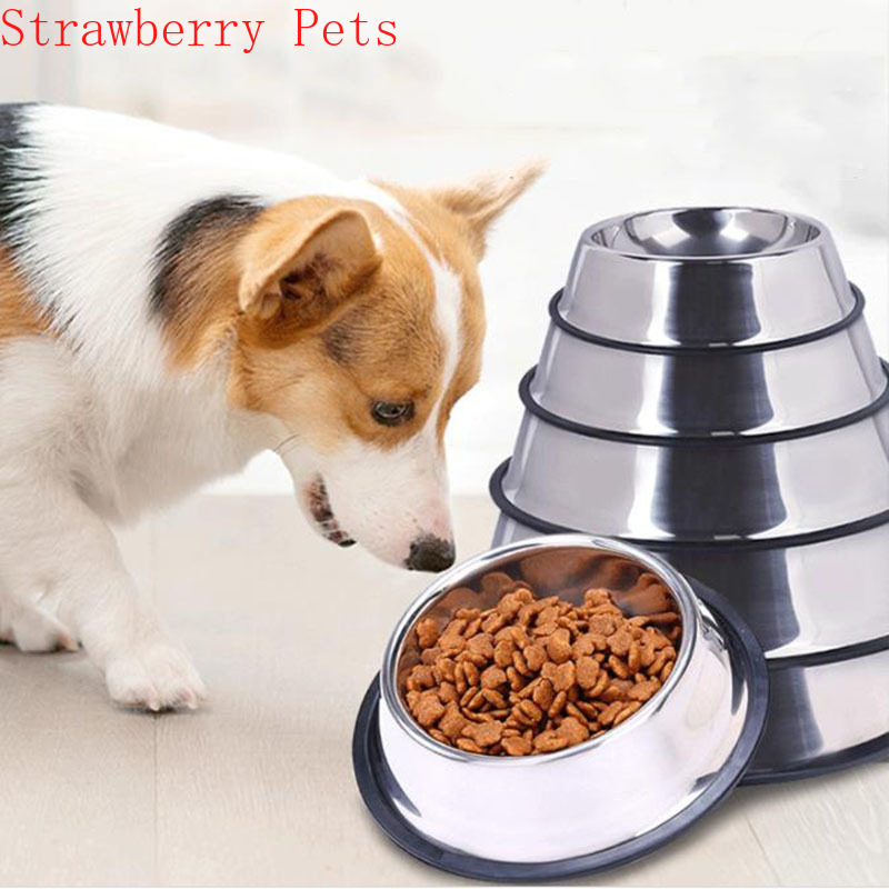 Stainless Steel Pet Dog Bowl F - Xxl Food Storage Container avis et prix