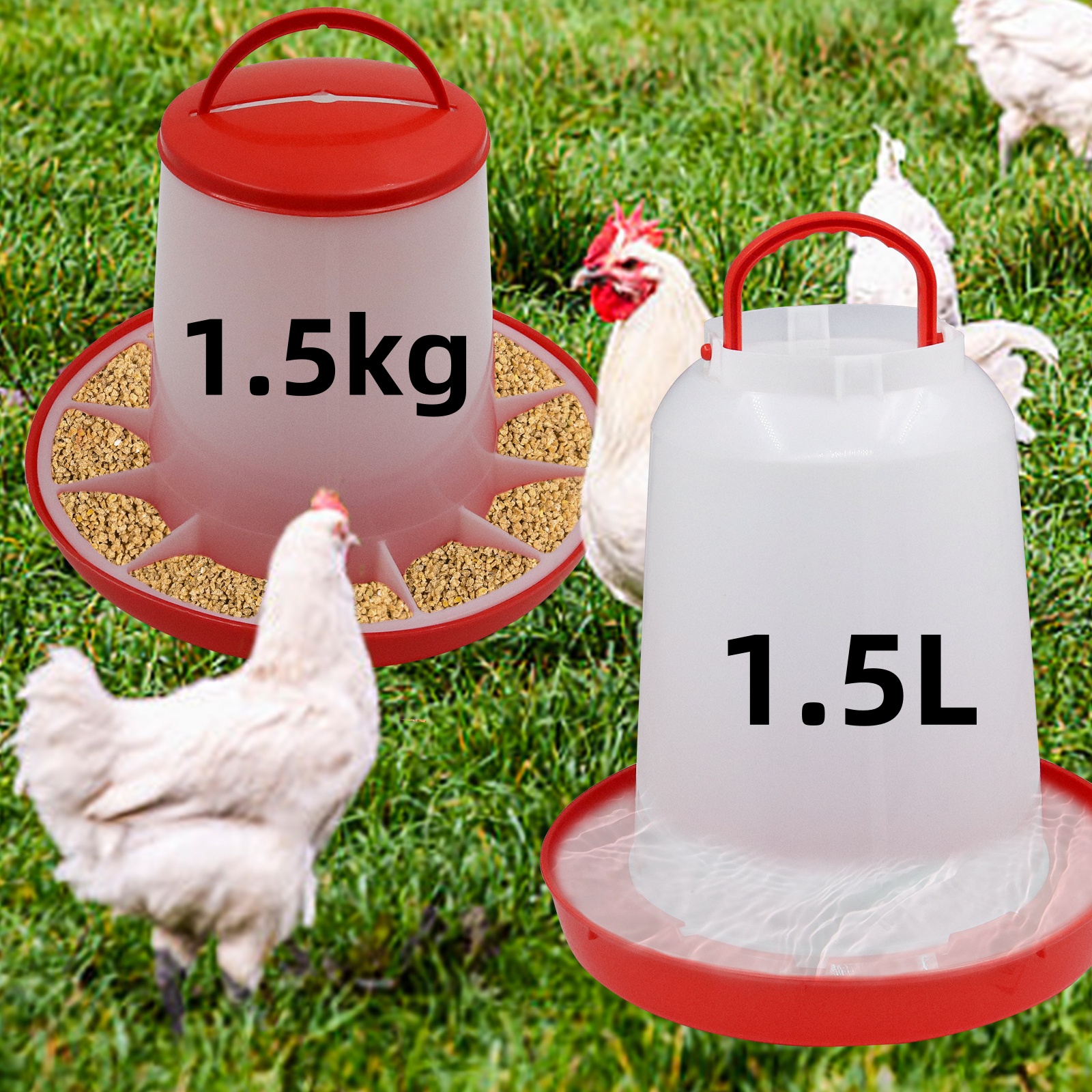 1.5kg 1.5L Poultry Feeder And  - Portion Control Container avis et prix
