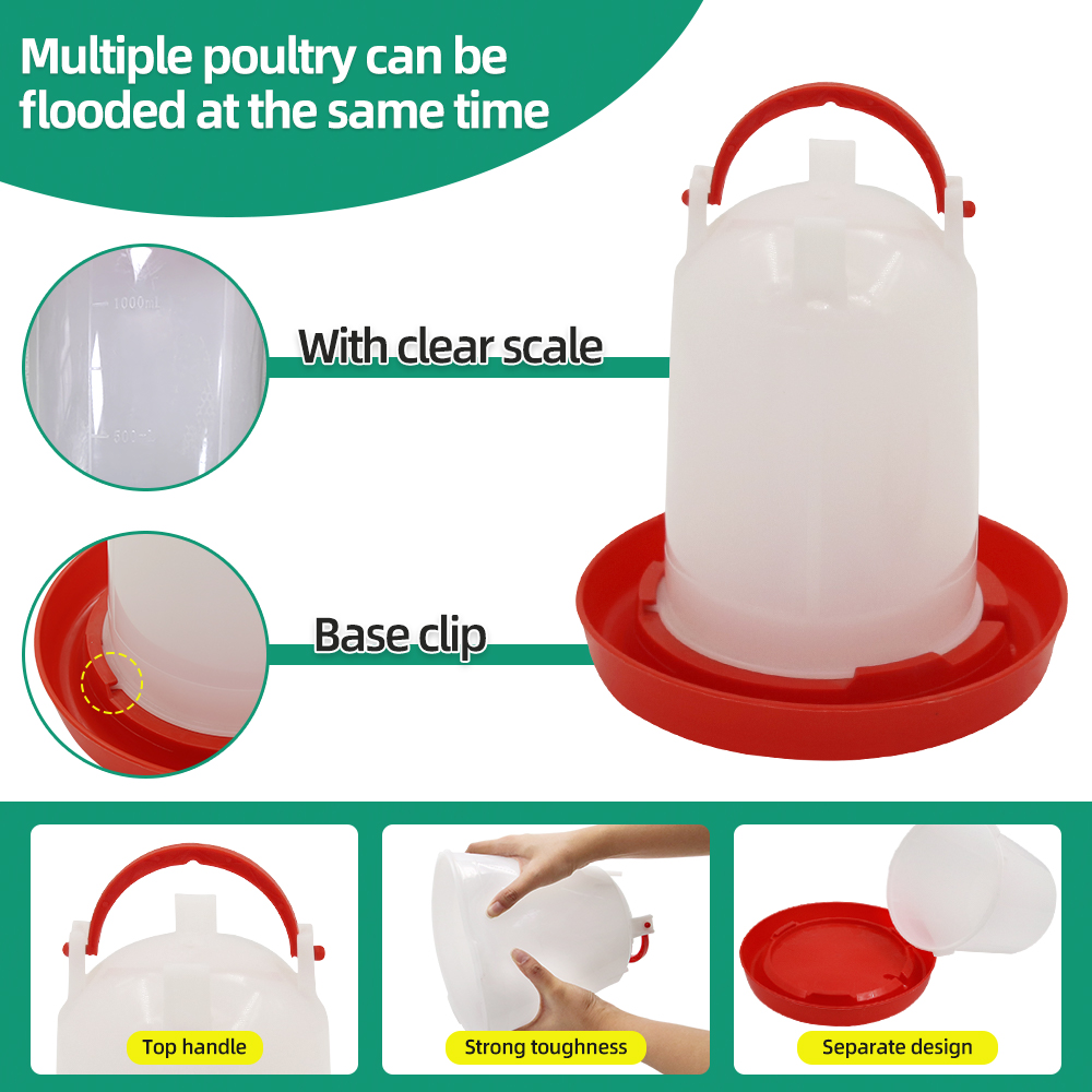 1.5kg 1.5L Poultry Feeder And  - Portion Control Container avis et prix