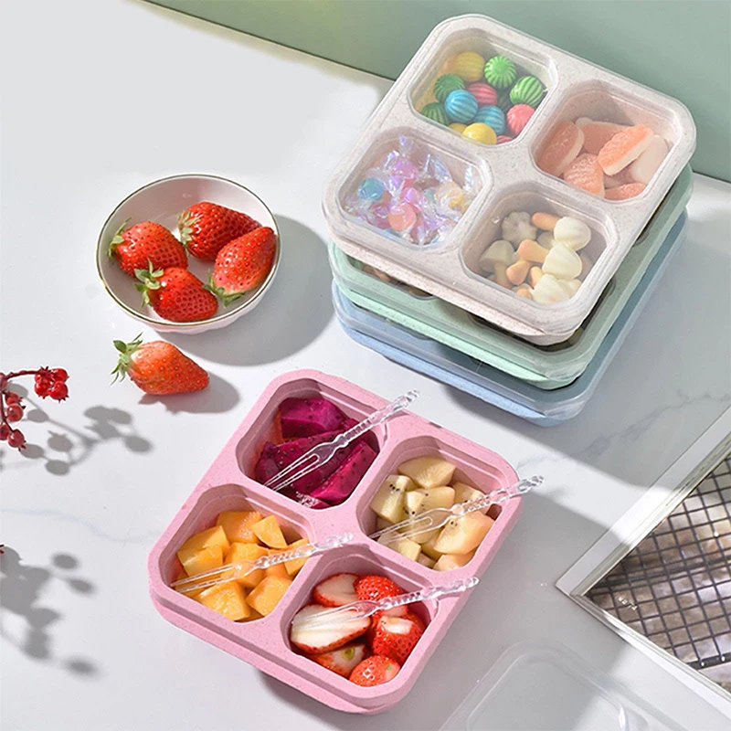 4 Grids Food Storage Box Porta - Food Storage Safe avis et prix