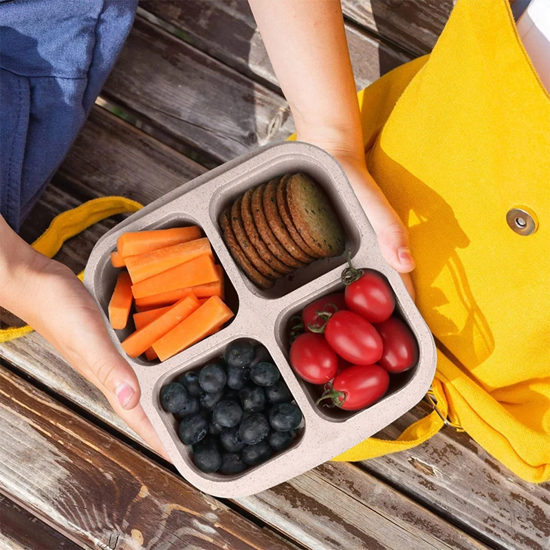 4 Grids Food Storage Box Porta - Food Storage Safe avis et prix