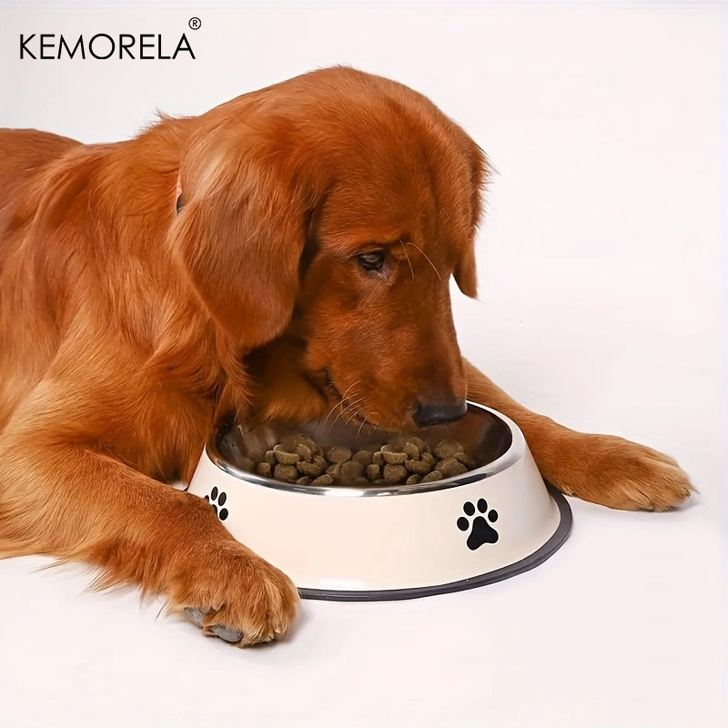Stainless Steel Pet Dog Bowl F - Xxl Food Storage Container avis et prix