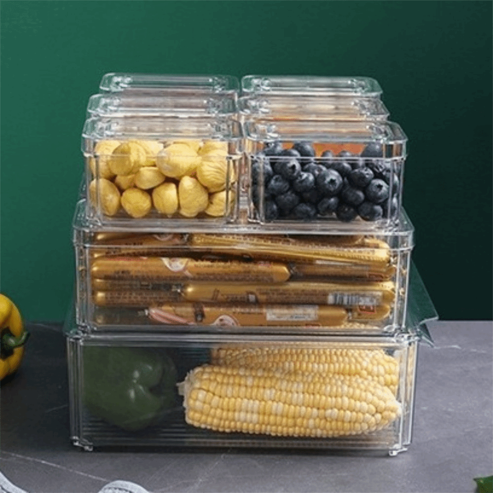 Practical Transparent Fridge O - Food Storage Practices avis et prix