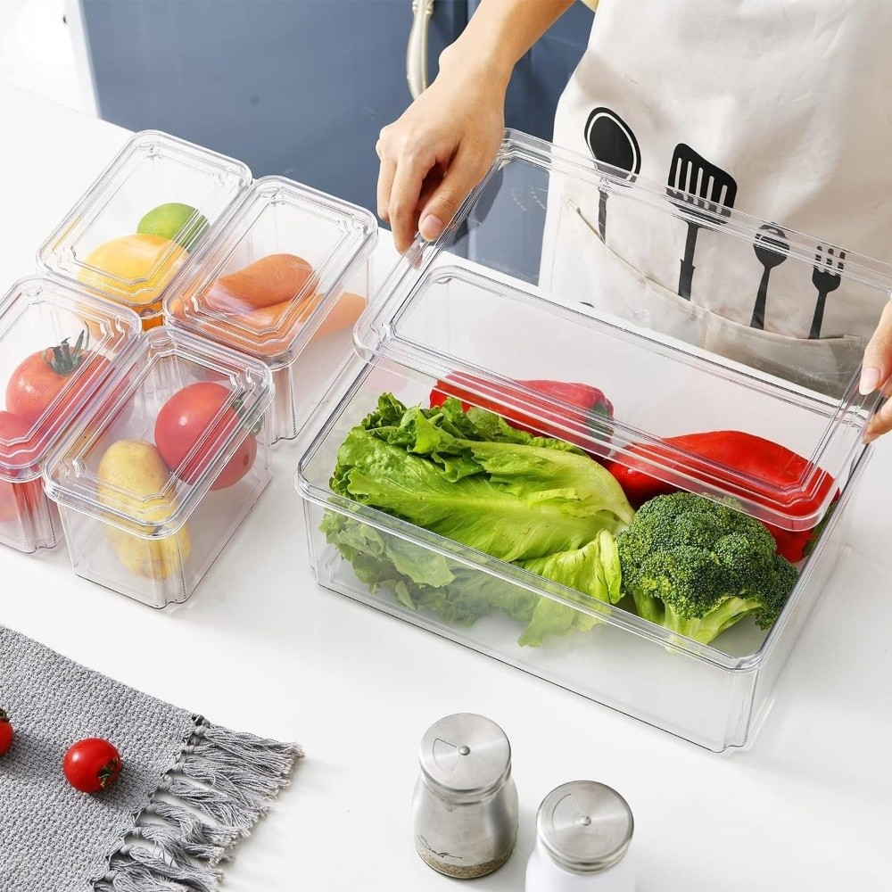 Practical Transparent Fridge O - Food Storage Practices avis et prix