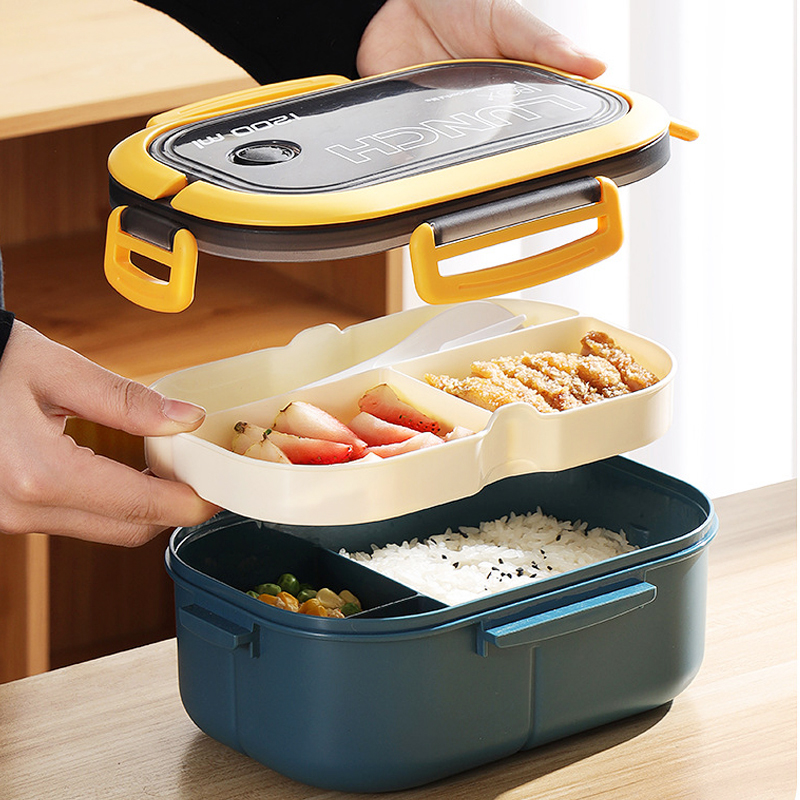 Single Double-layer Lunch Box  - Food Storage Vault avis et prix