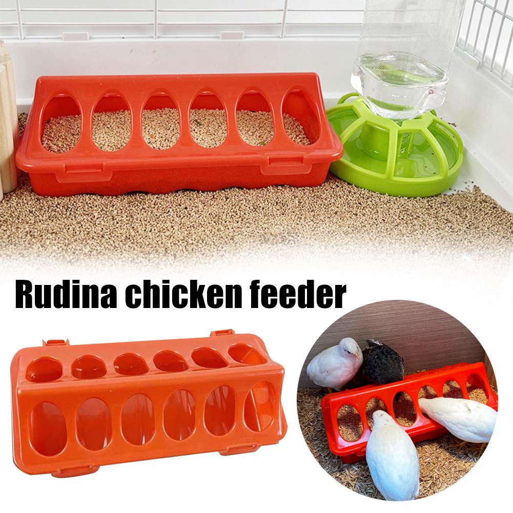 Rudin Chicken Feeder Automatic - Portion Control Container avis et prix