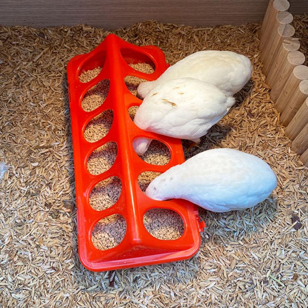 Rudin Chicken Feeder Automatic - Portion Control Container avis et prix