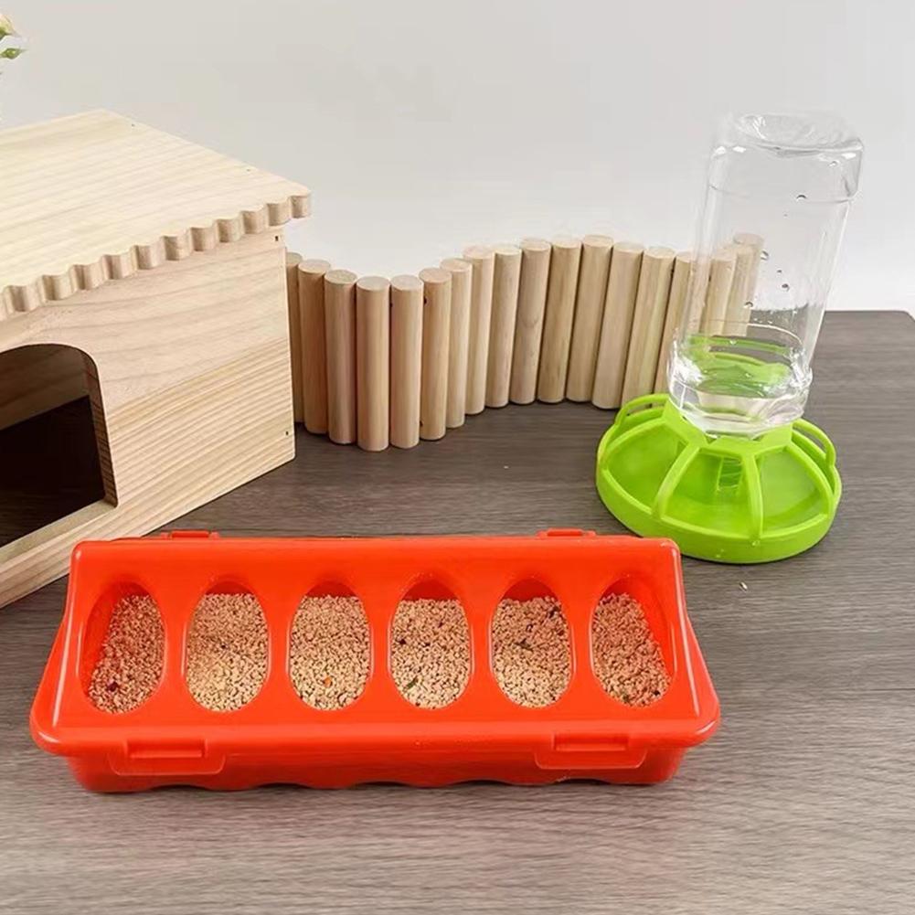 Rudin Chicken Feeder Automatic - Portion Control Container avis et prix